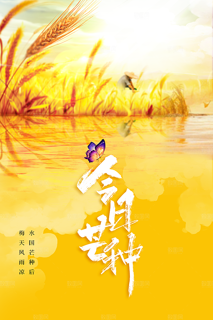 芒种节气传统海报