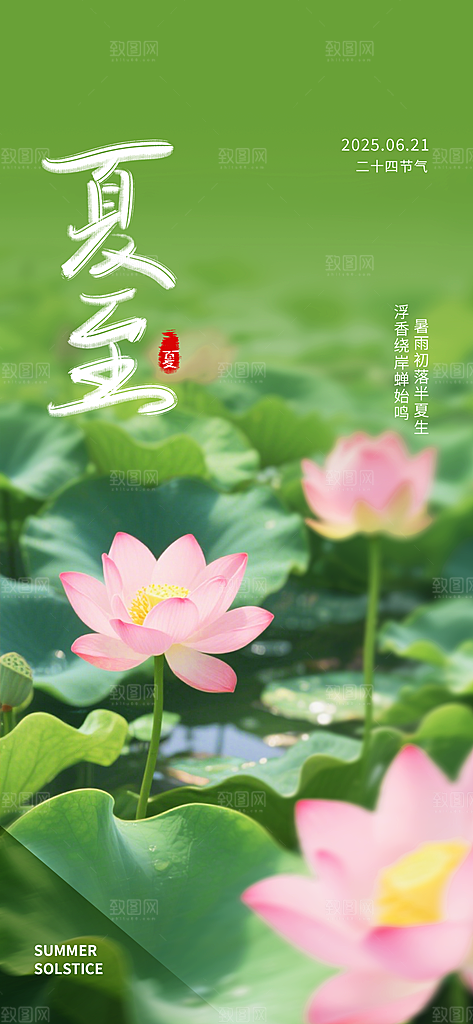 夏至二十四节气海报