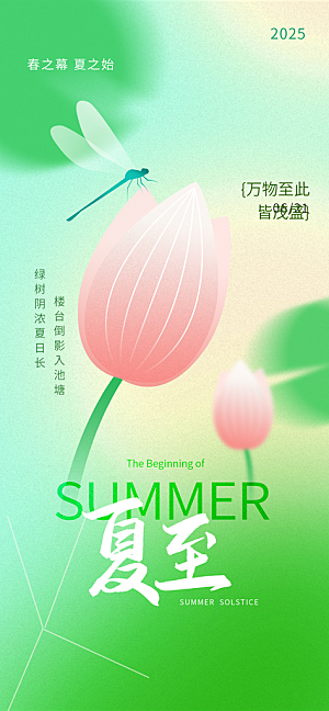 二十四节气夏至海报