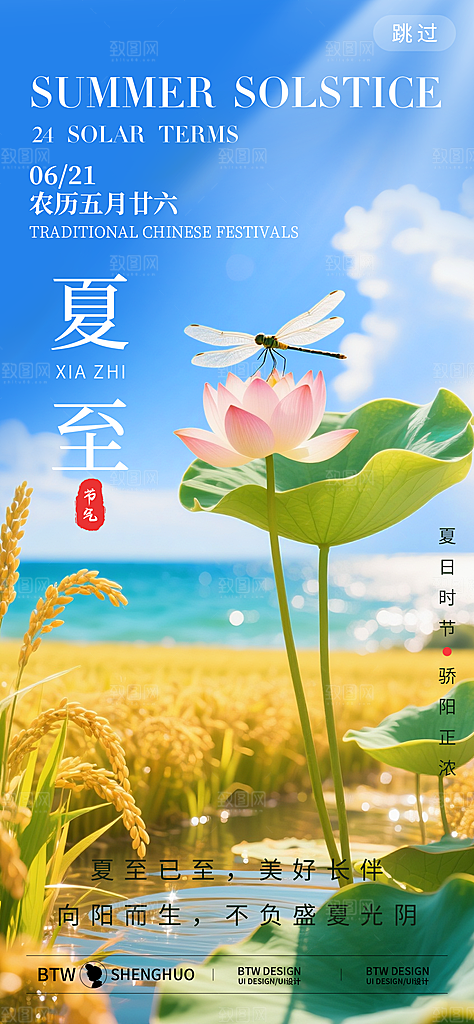 二十四节气夏至海报
