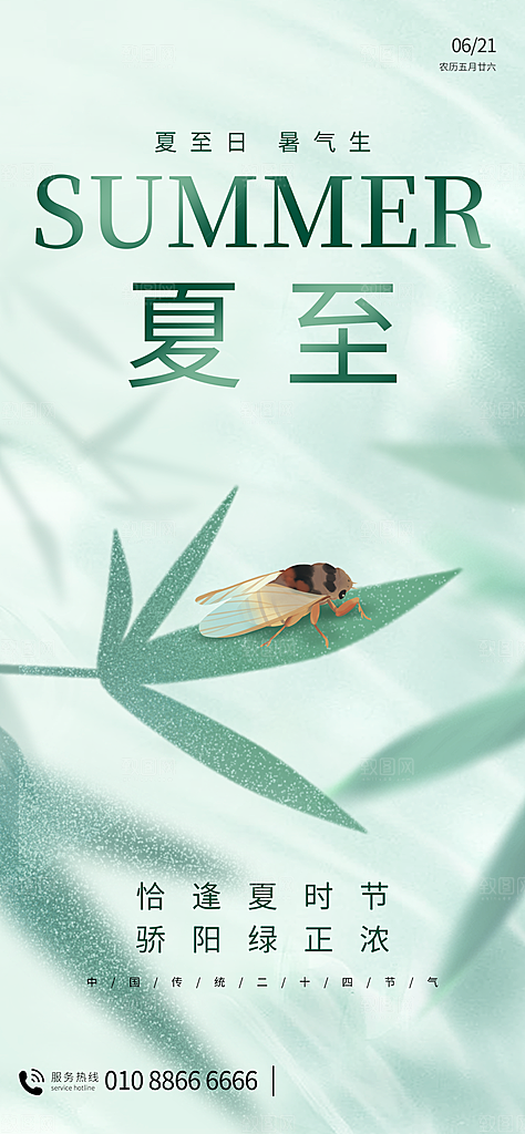 夏至二十四节气海报