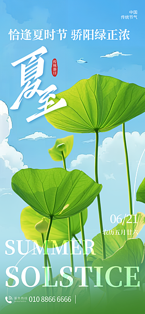 夏至二十四节气海报