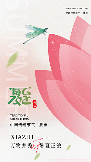 夏至二十四节气海报