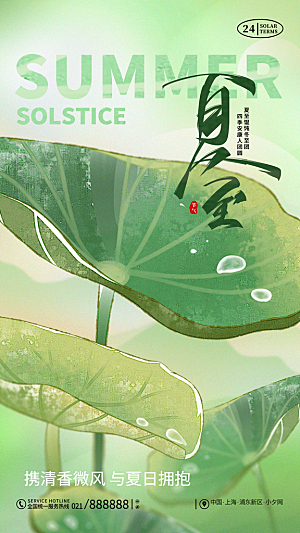 夏至二十四节气海报