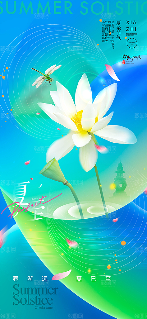 夏至二十四节气海报