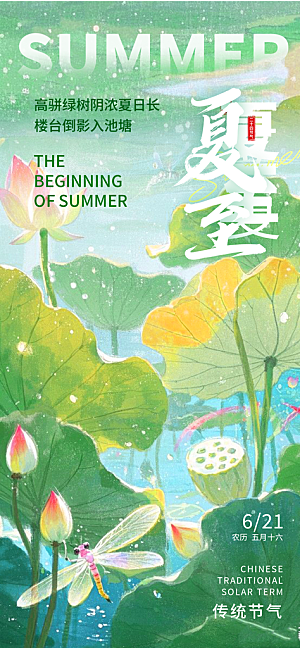 二十四节气夏至海报