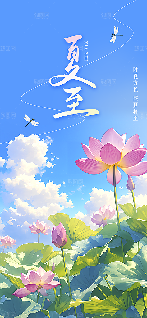 二十四节气夏至海报