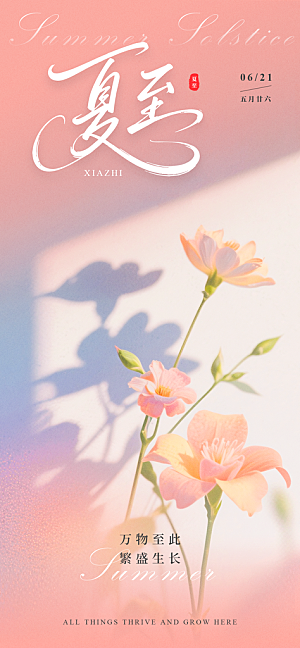 二十四节气夏至海报