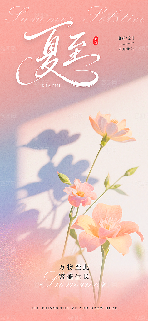 二十四节气夏至海报