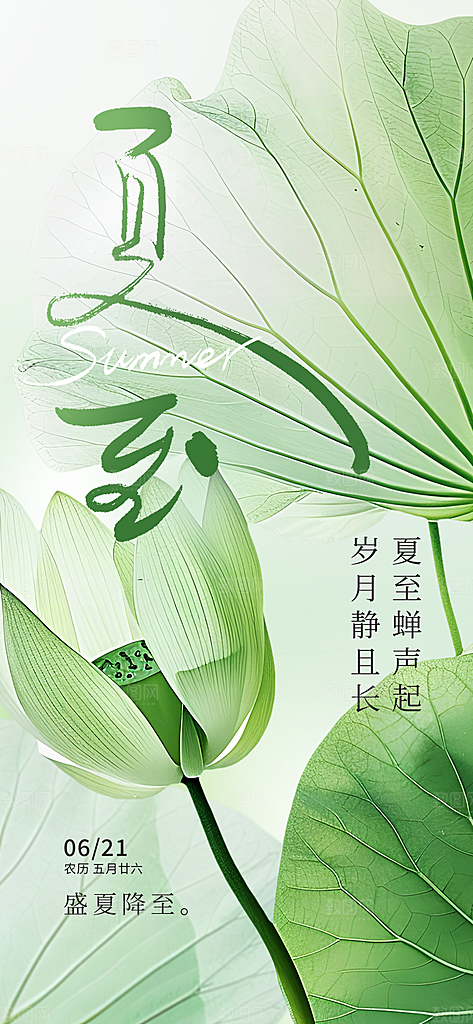 夏至二十四节气海报