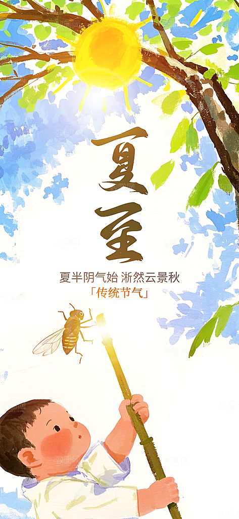 夏至二十四节气海报