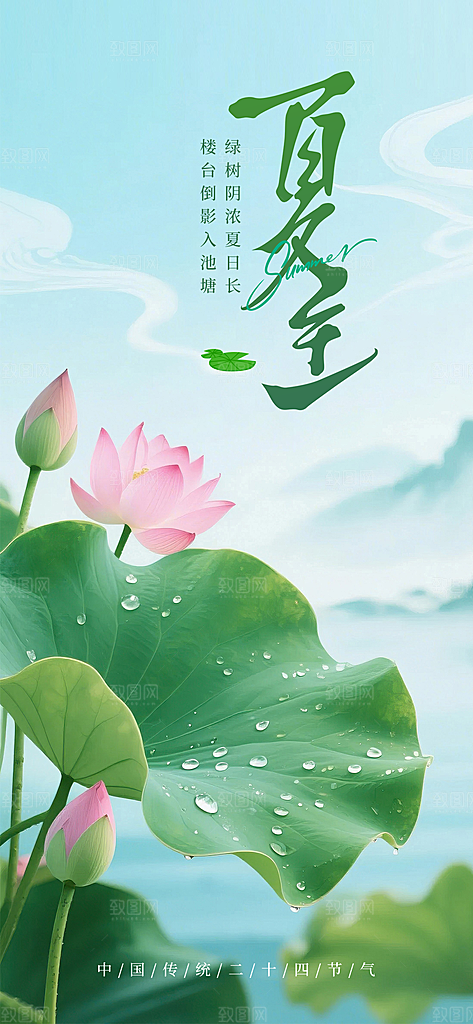 夏至二十四节气海报