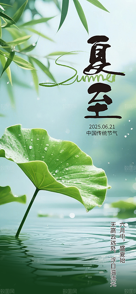 夏至二十四节气海报