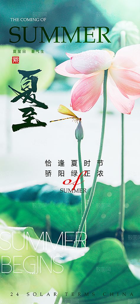 夏至二十四节气海报