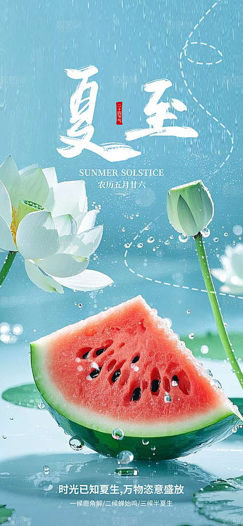 夏至二十四节气海报