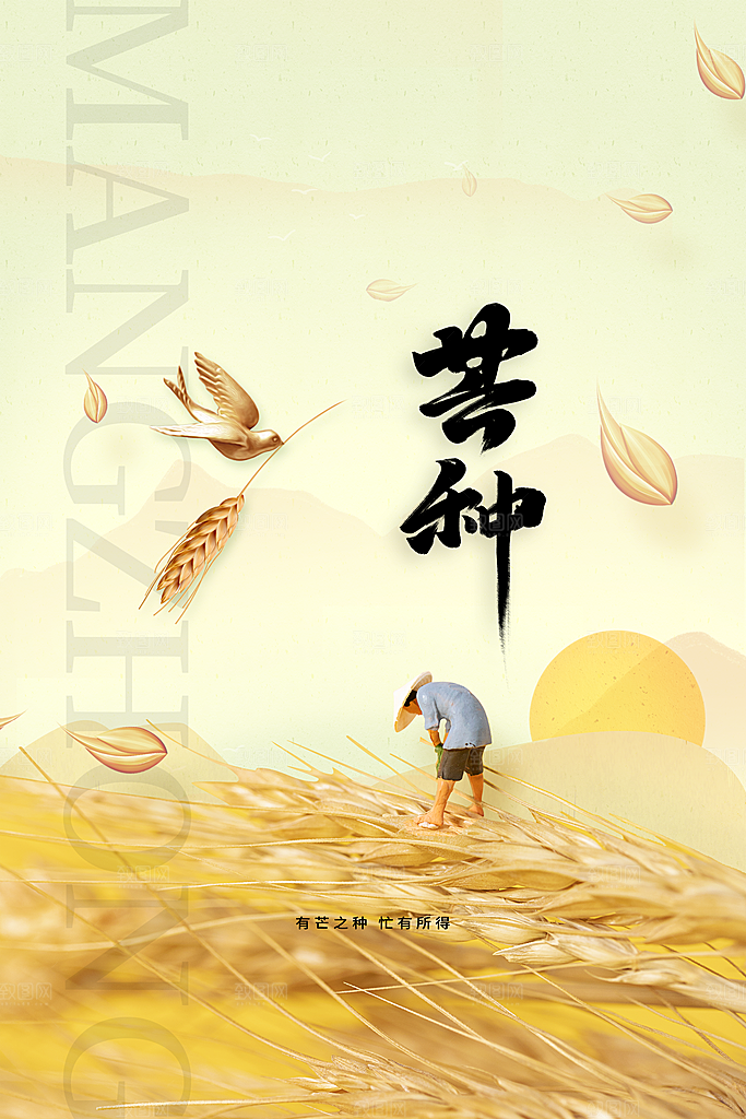 芒种节气传统海报