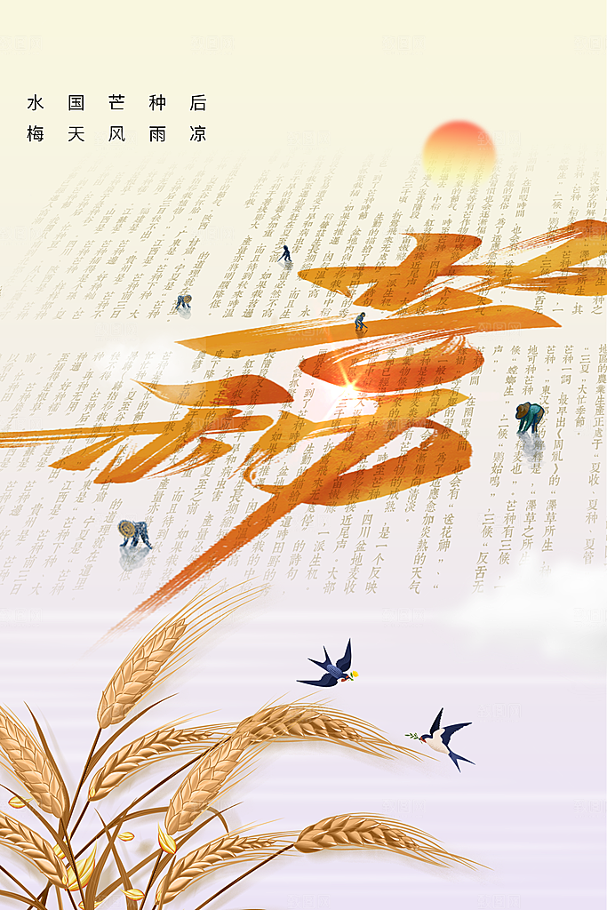 芒种节气传统海报