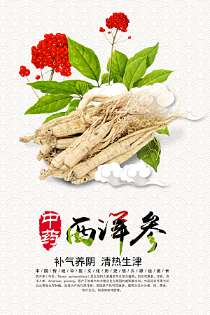 西洋参海报展板设计素材