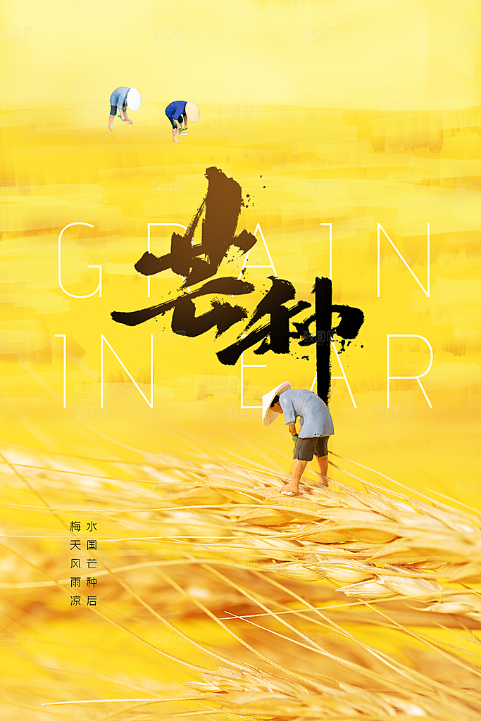 芒种节气传统活动海报