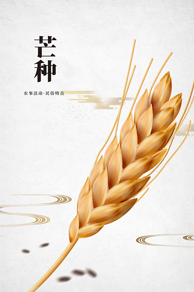 芒种节气传统活动海报