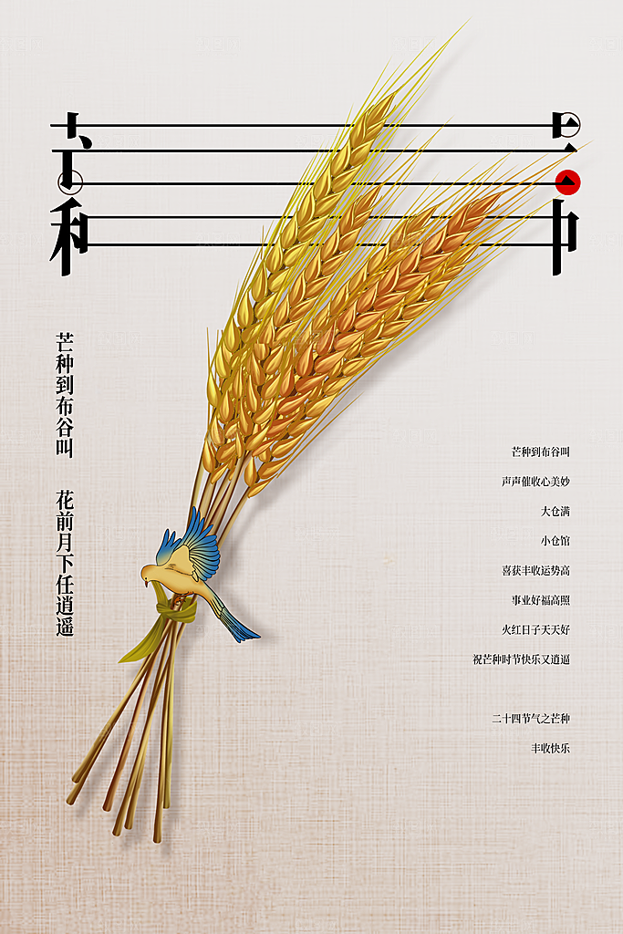 芒种节气传统活动海报