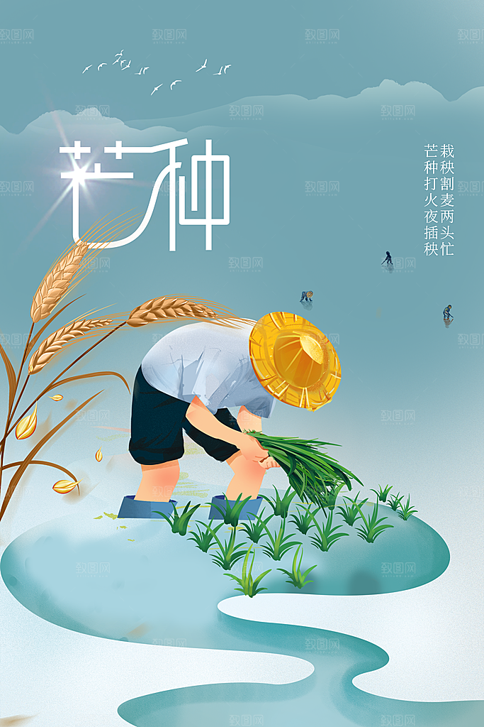 芒种节气传统活动海报