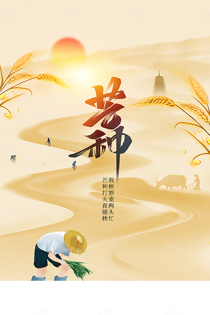 芒种节气传统活动海报