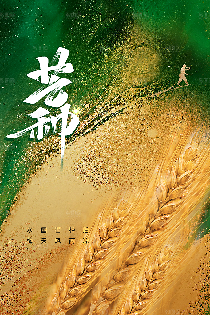 芒种节气传统海报