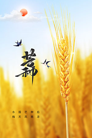 芒种节气传统海报