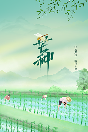 芒种节气传统海报