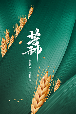 芒种节气传统海报