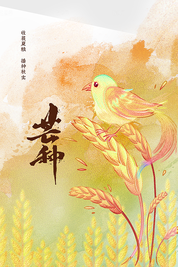 芒种节气传统海报