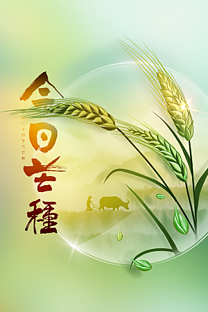 芒种节气传统海报