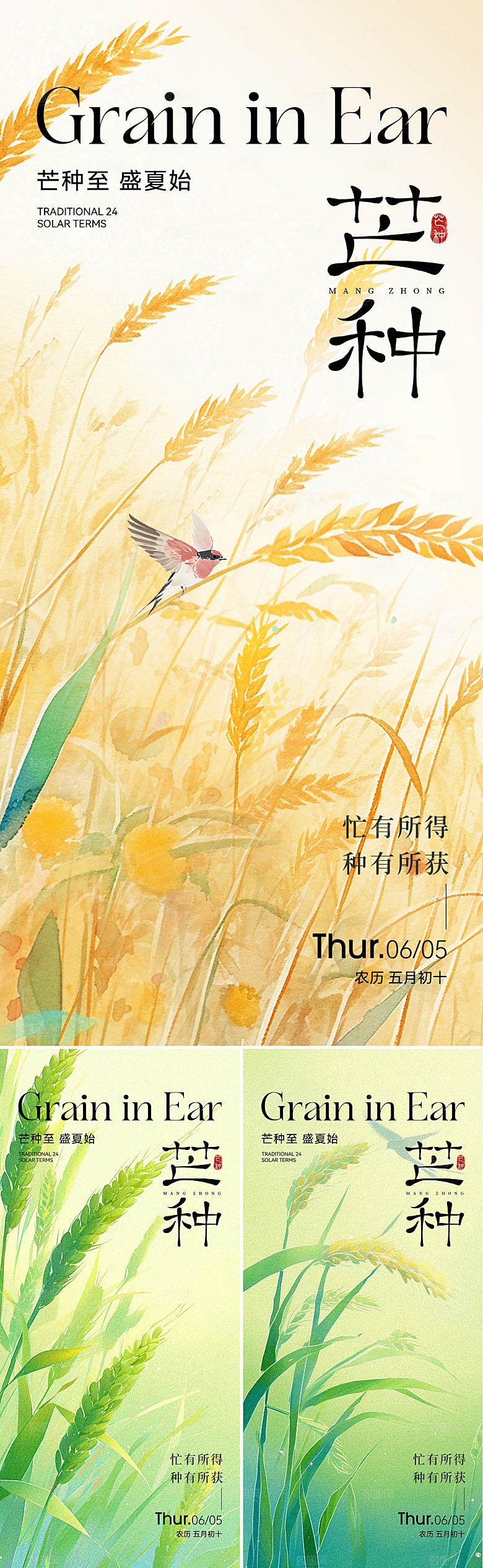 芒种插画系列海报