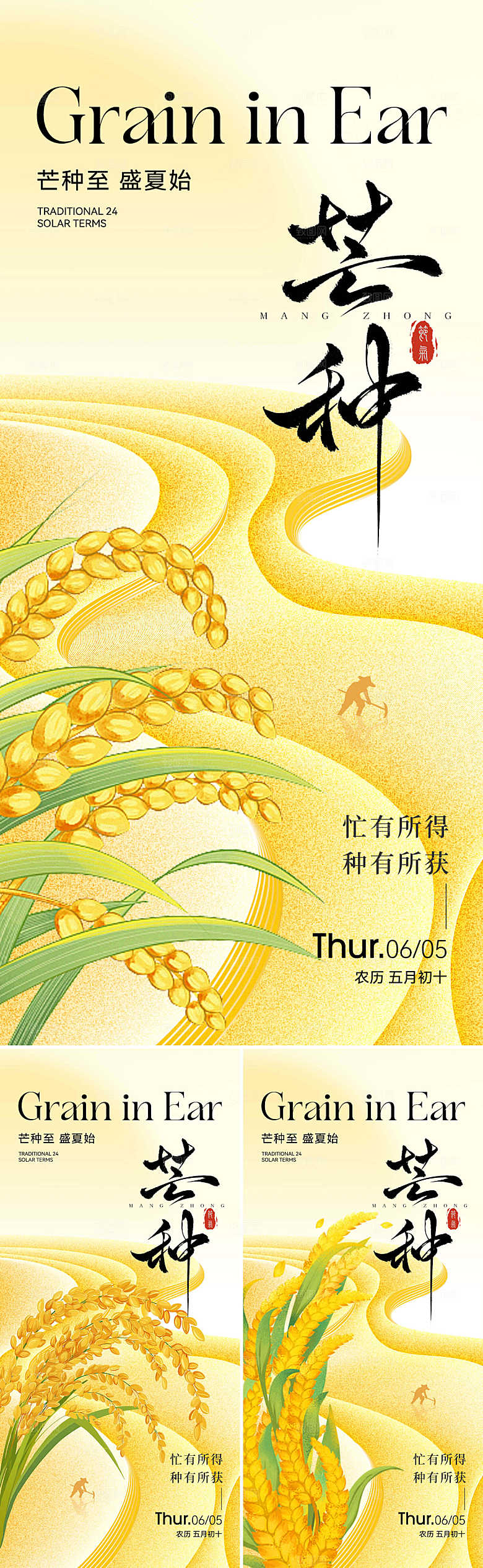 芒种麦穗海报系列
