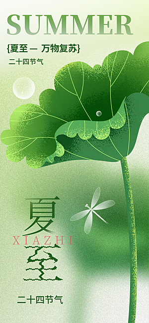 24节气夏天6月你好夏季夏至时节海报