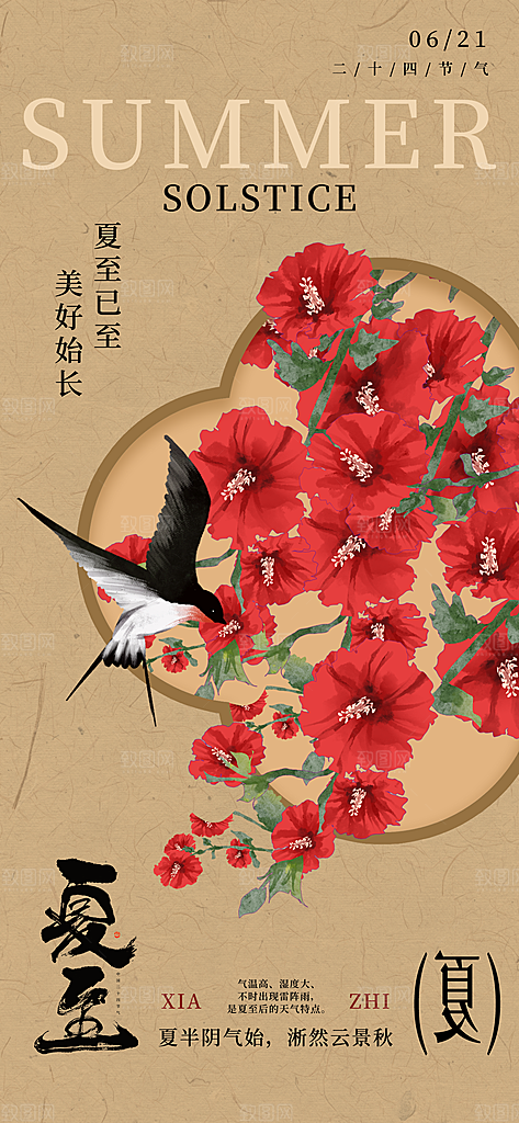 24节气夏天6月你好夏季夏至时节海报