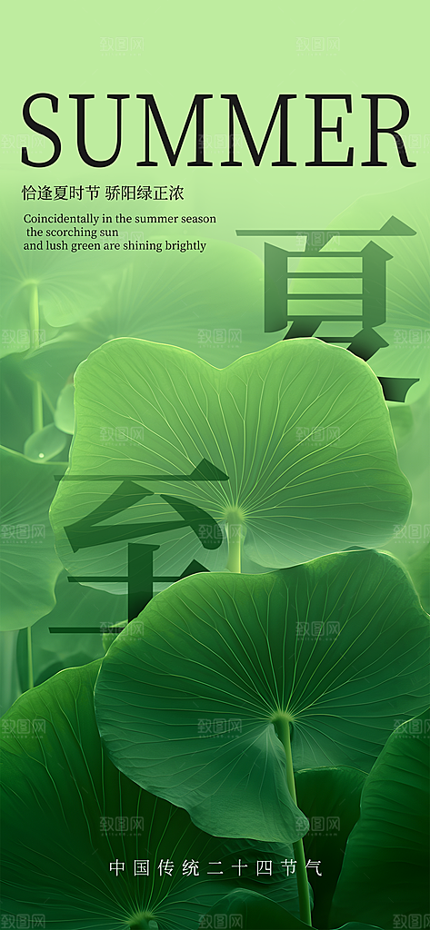 24节气夏天6月你好夏季夏至时节海报