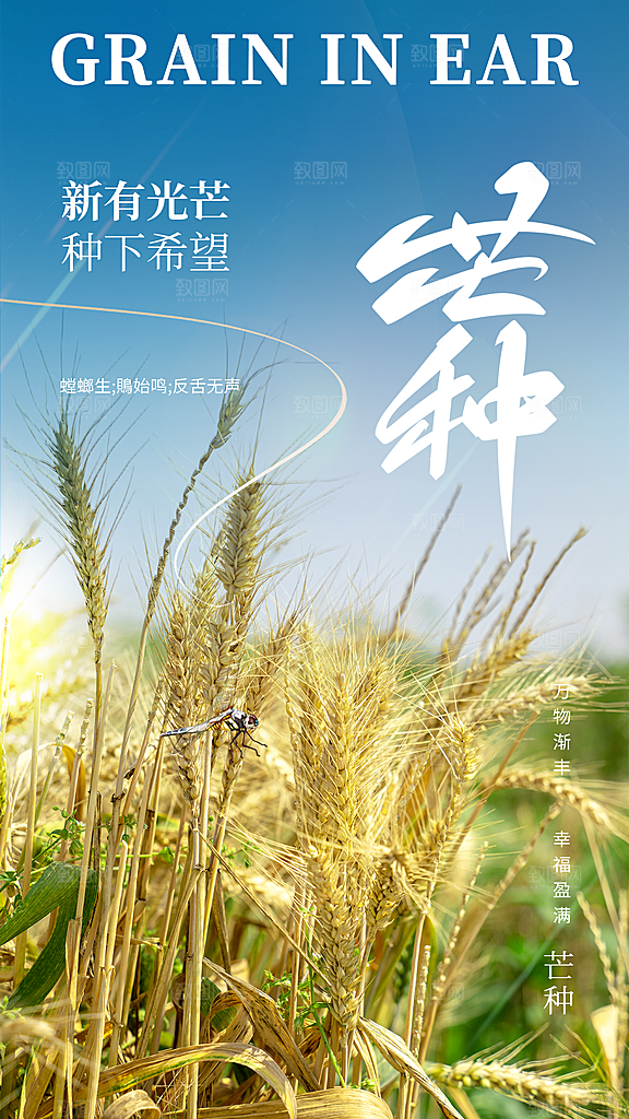 芒种节气传统海报