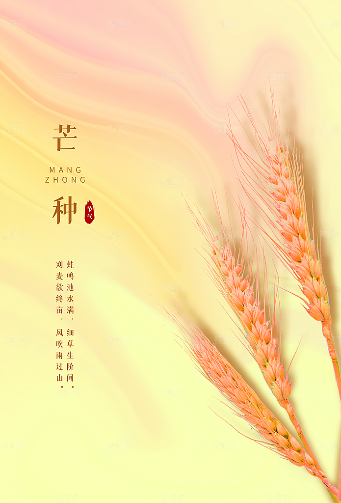 芒种节气传统海报