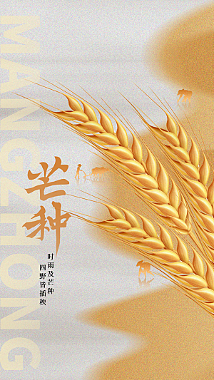 芒种节气传统海报