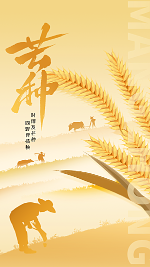 芒种节气传统海报