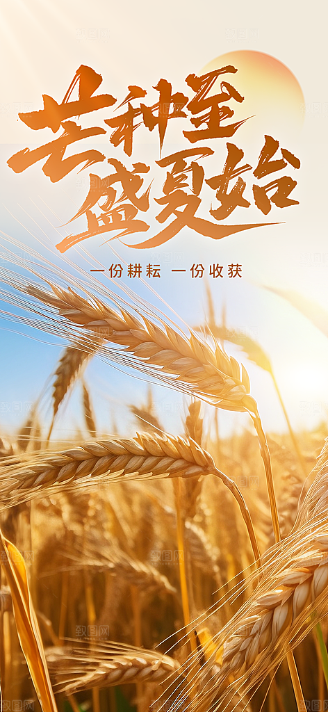 芒种节气传统海报
