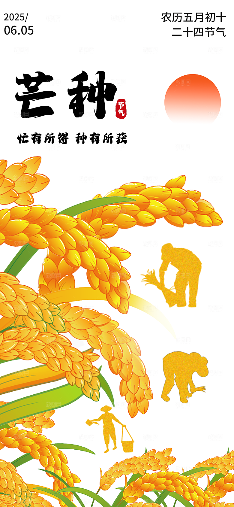 芒种节气创意海报