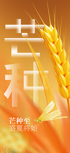芒种节气传统海报