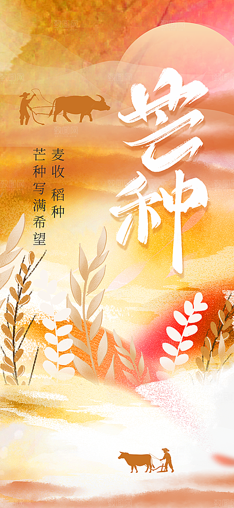 芒种节气传统海报