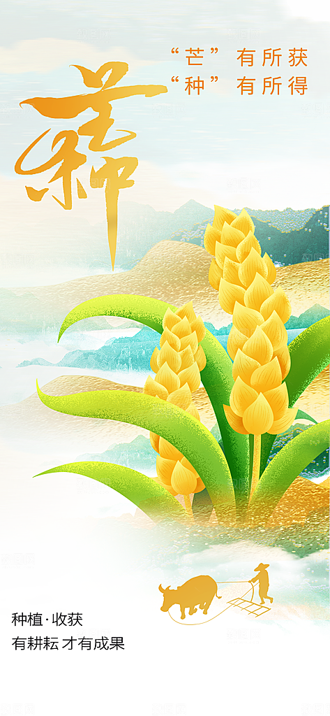芒种节气传统海报
