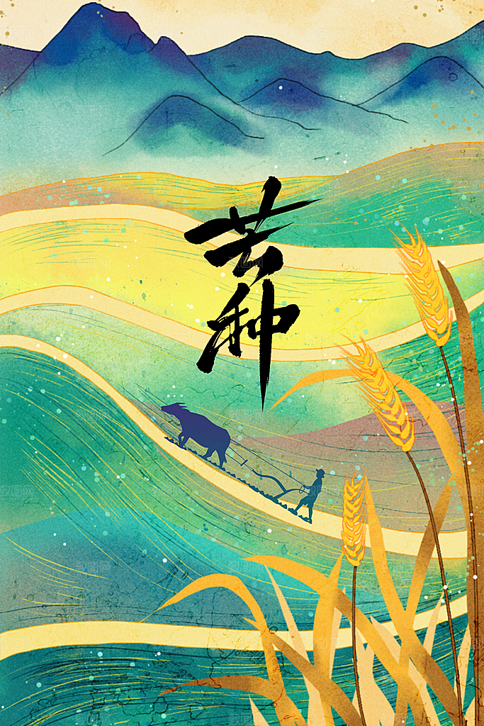 芒种节气传统海报