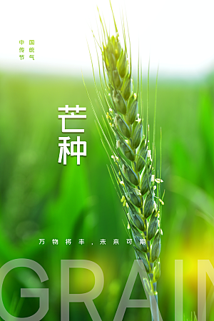 芒种节气传统海报