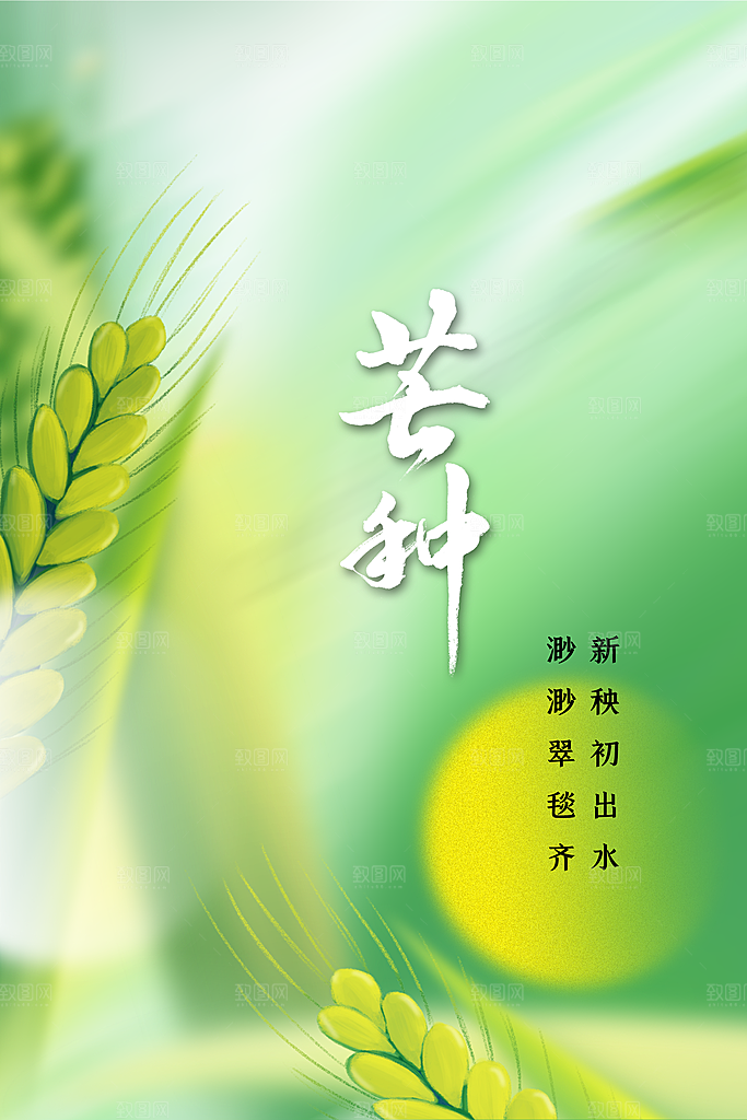 芒种节气传统海报
